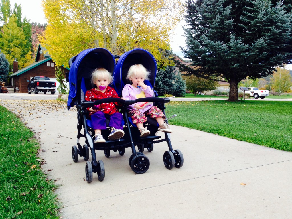 Best Double Travel Stroller Review (The Combi Twin Cosmo is more of an umbrella type double product)